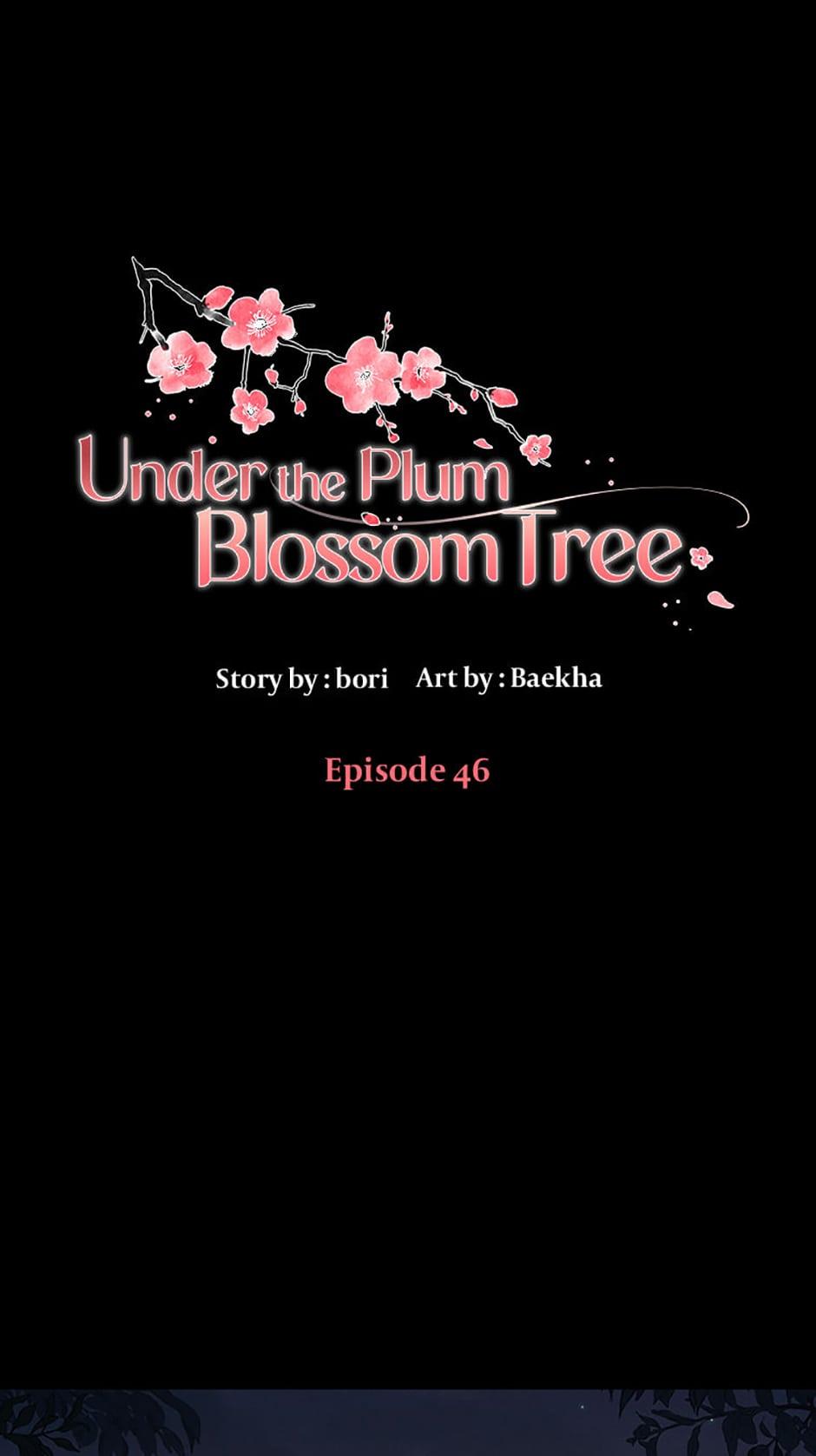 Plum Blossom Shade - chapter 46 - #2