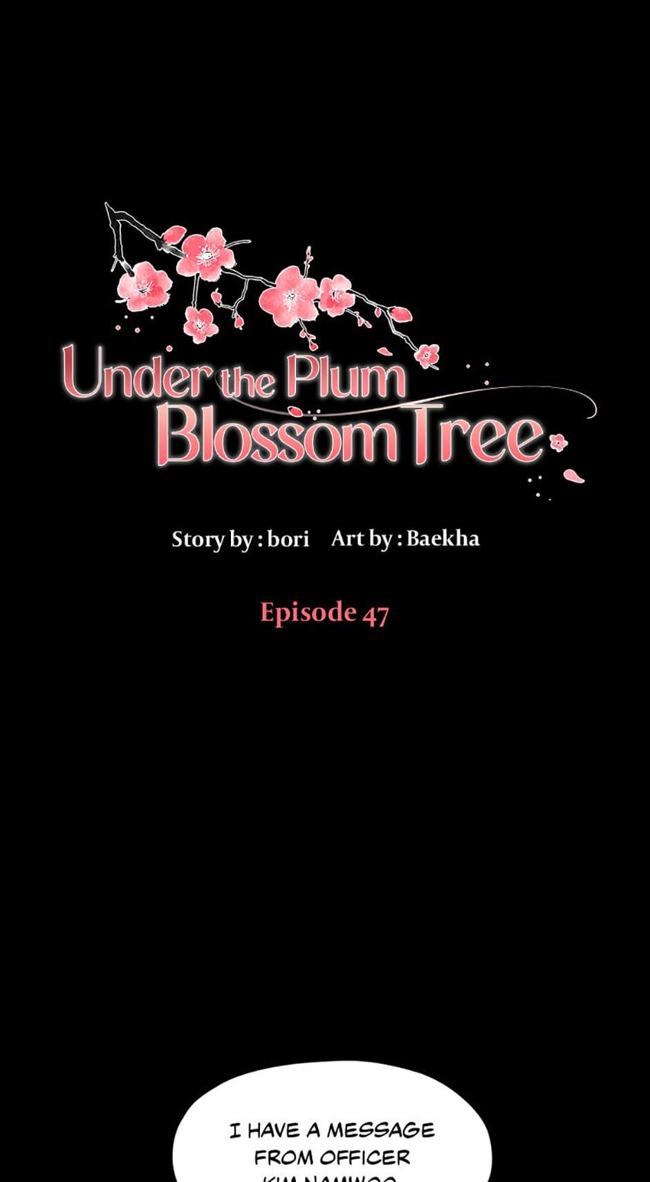 Plum Blossom Shade - chapter 47 - #2