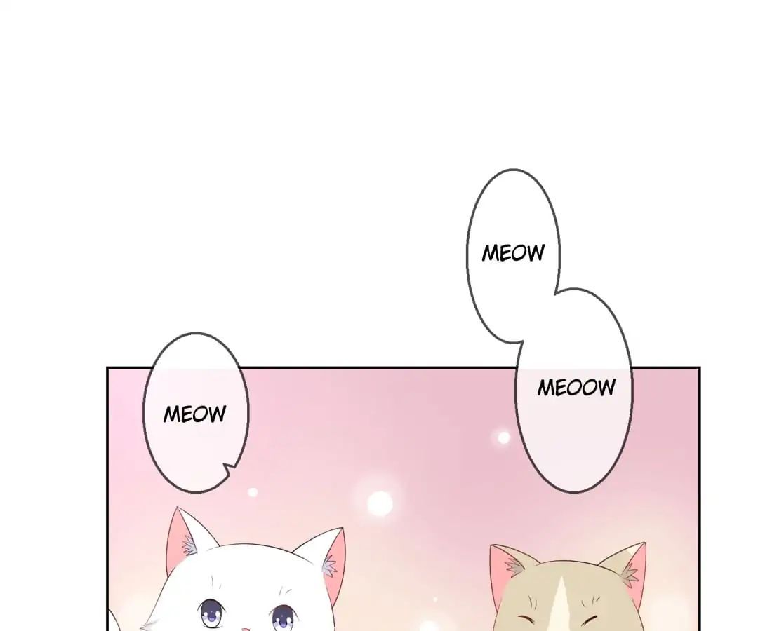 Popular Deskmate is A Cat - chapter 10 - #5
