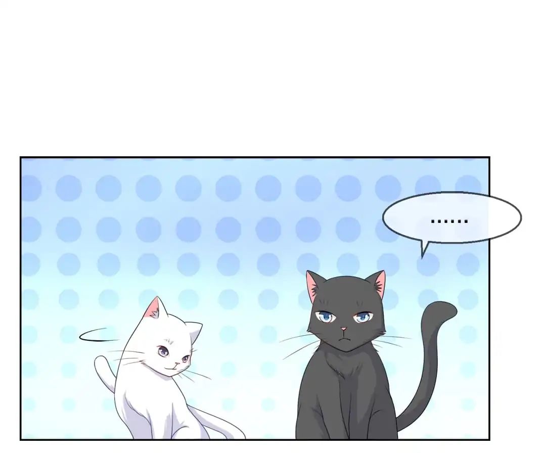 Popular Deskmate is A Cat - chapter 9 - #1