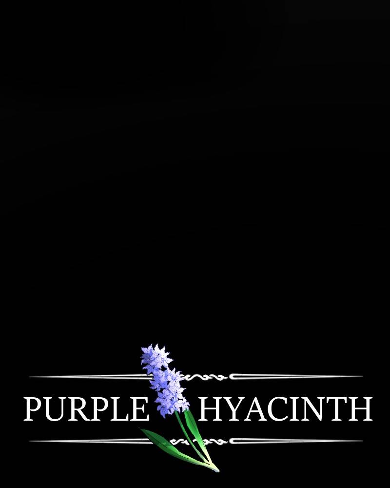 Purple Hyacinth - chapter 13 - #1