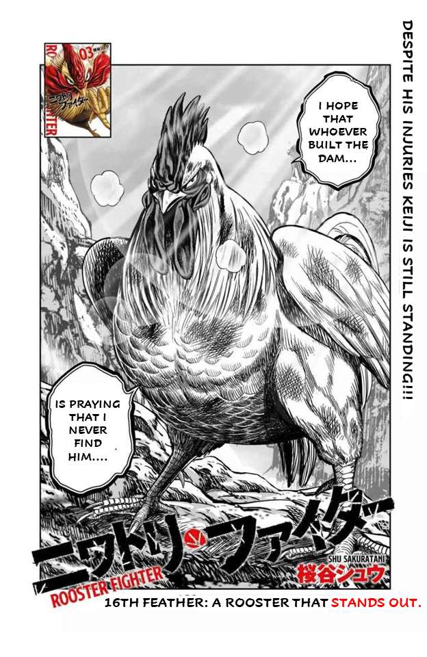 Rooster Fighter - chapter 16 - #2