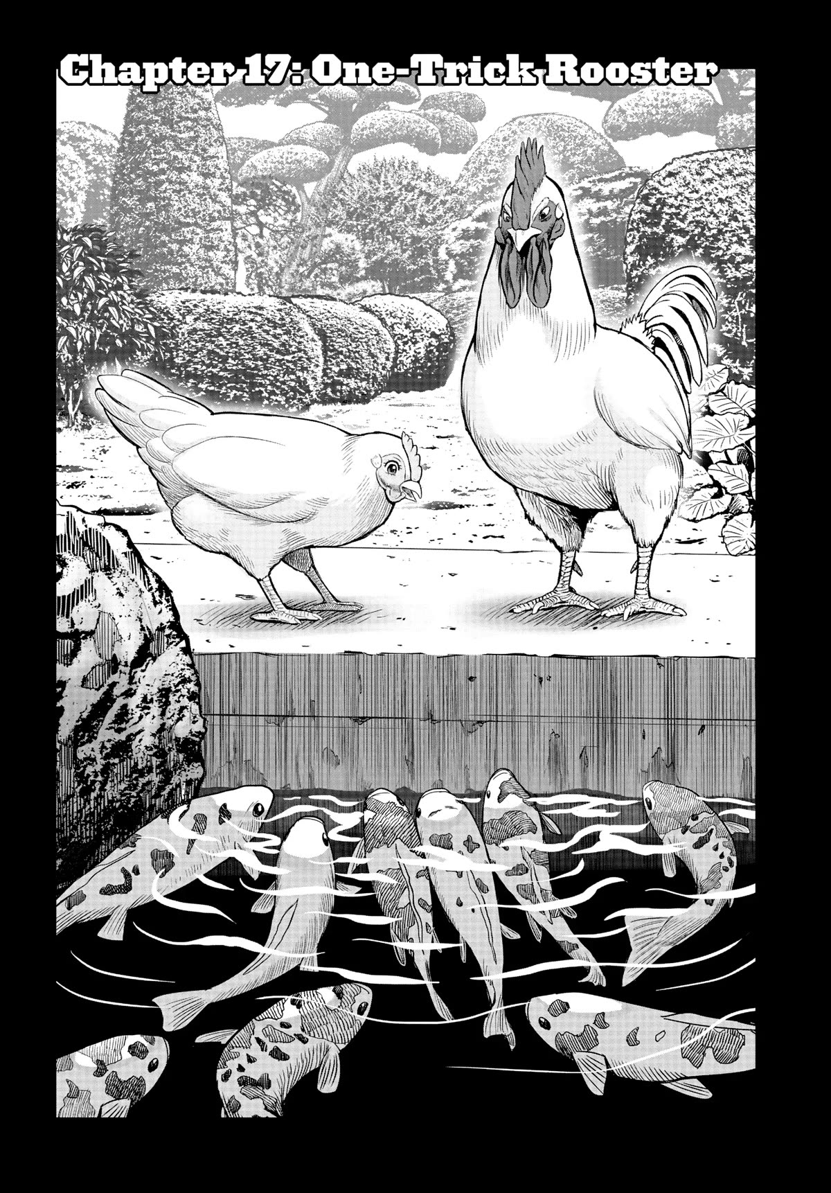 Rooster Fighter - chapter 17 - #1