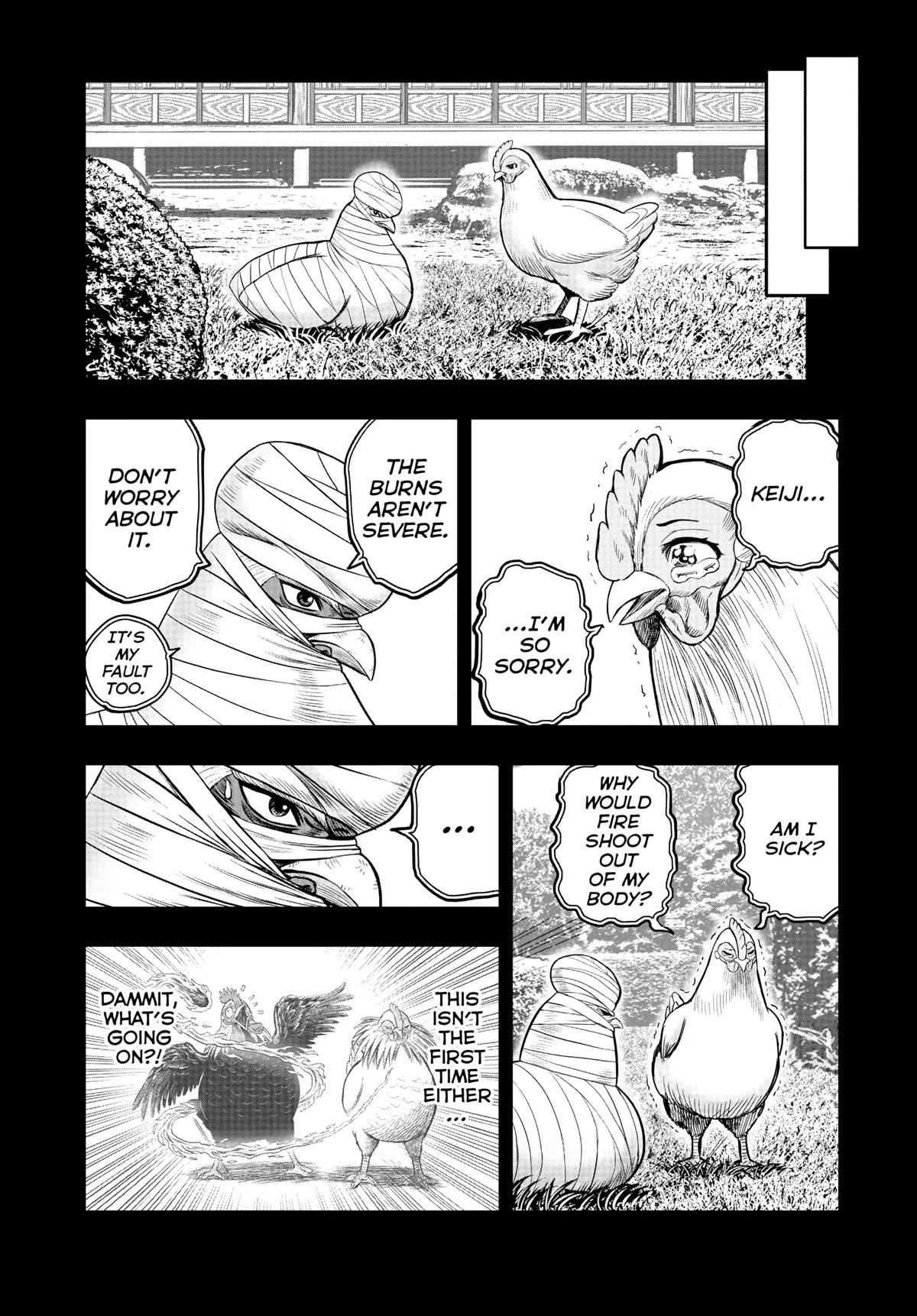 Rooster Fighter - chapter 17 - #6