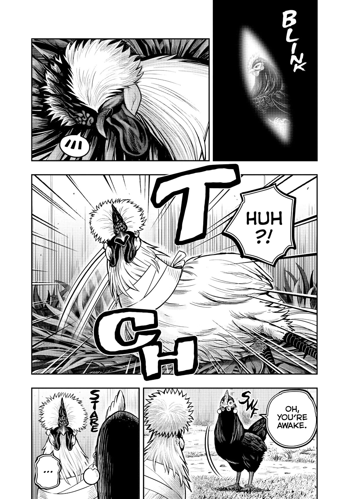 Rooster Fighter - chapter 19 - #4