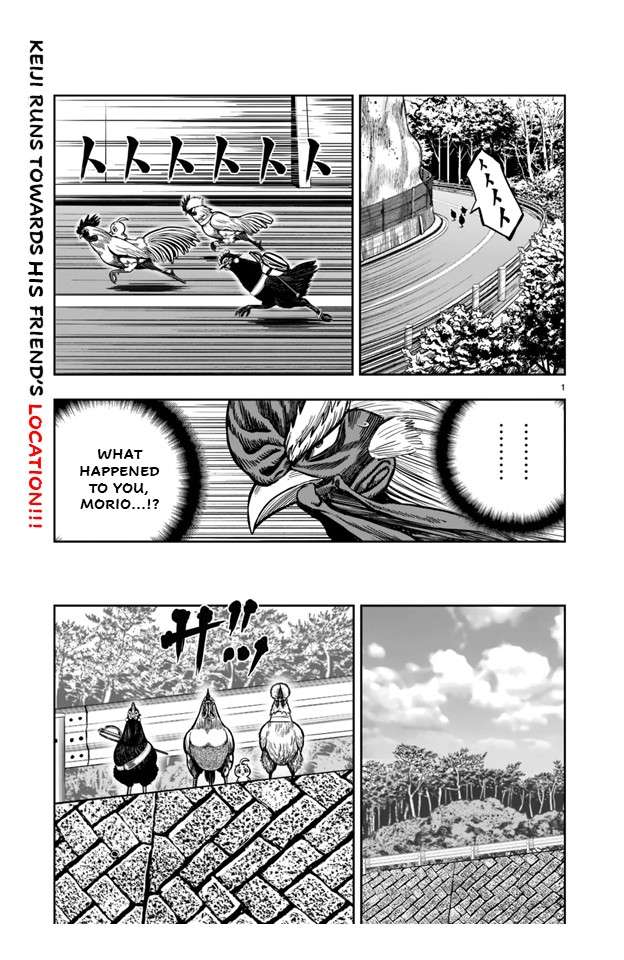 Rooster Fighter - chapter 21 - #1