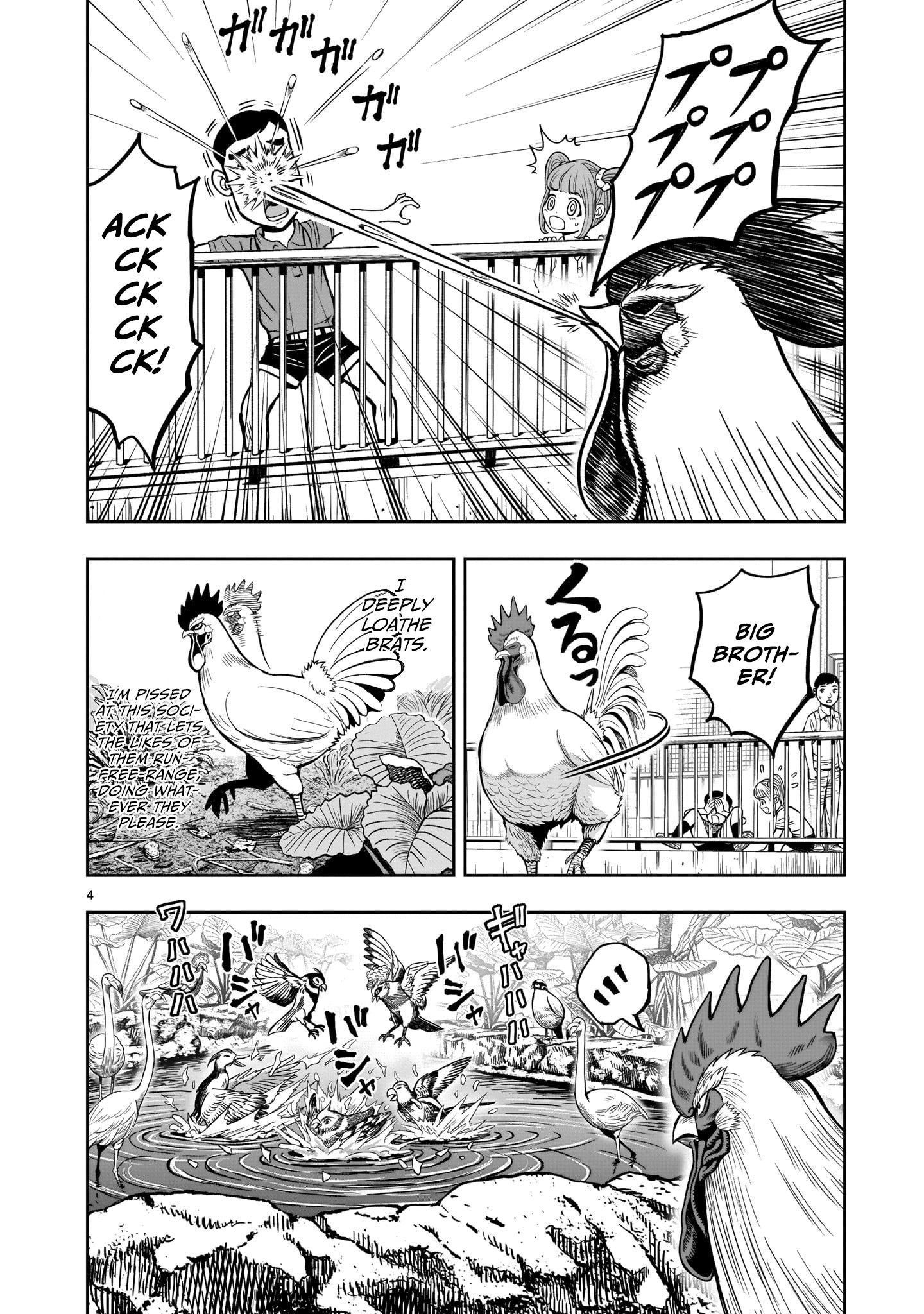 Rooster Fighter - chapter 3 - #6