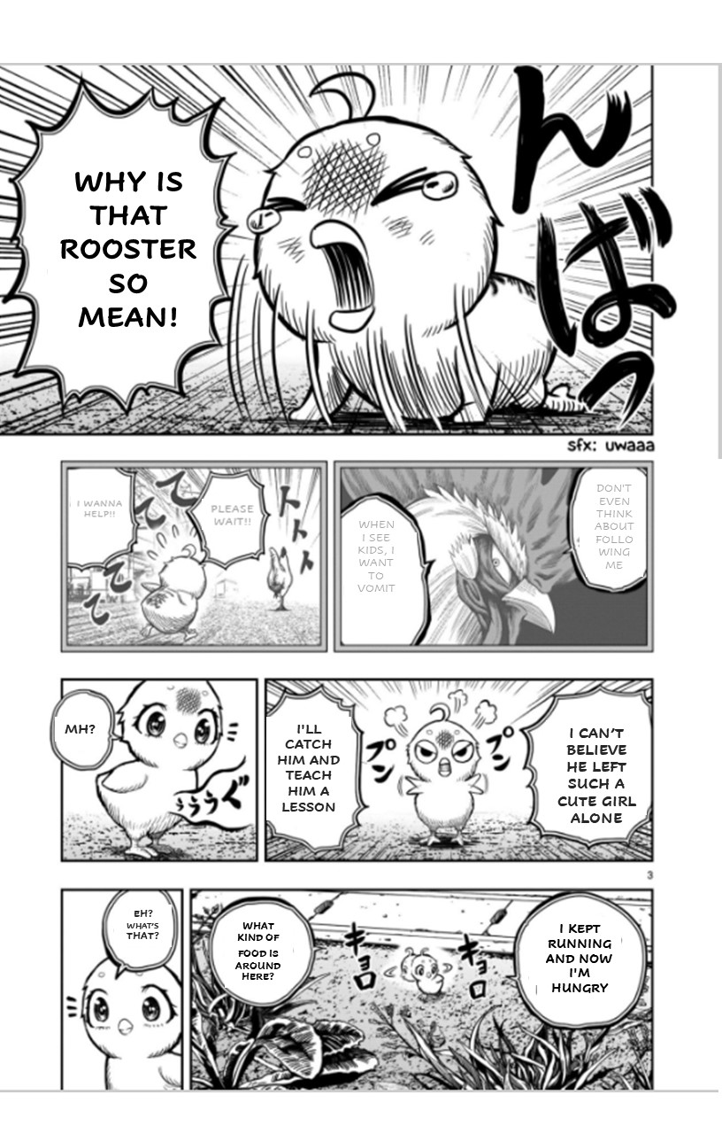 Rooster Fighter - chapter 6 - #3
