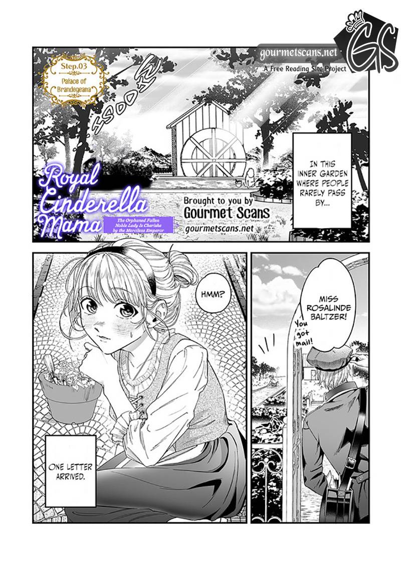 Royal Cinderella Mama - The Orphaned Fallen Noble Lady Is Cherished by the Merciless Emperor - chapter 3 - #2