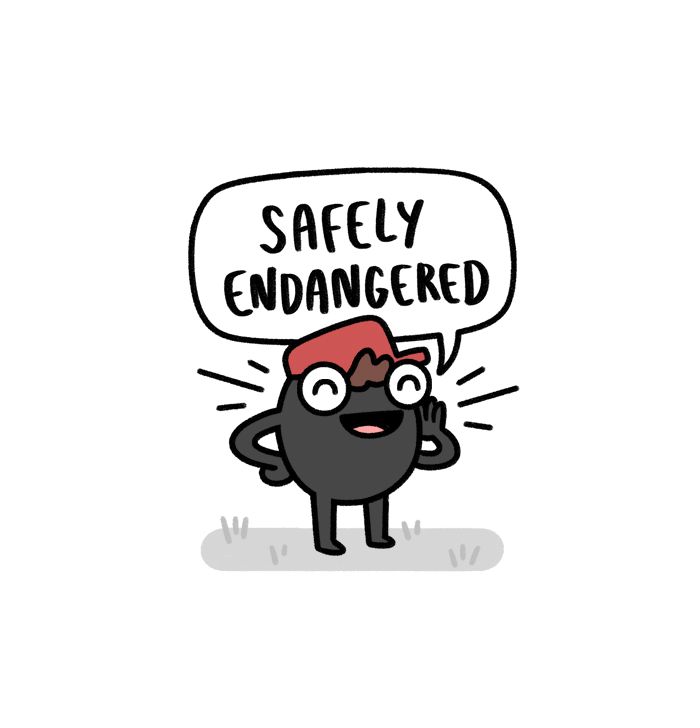 Safely Endangered - chapter 466 - #1