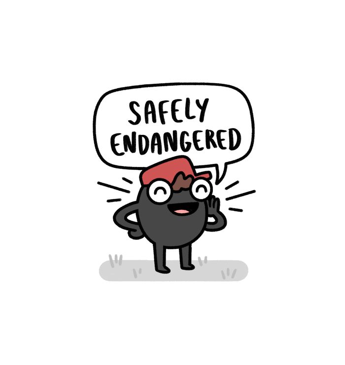 Safely Endangered - chapter 482 - #1