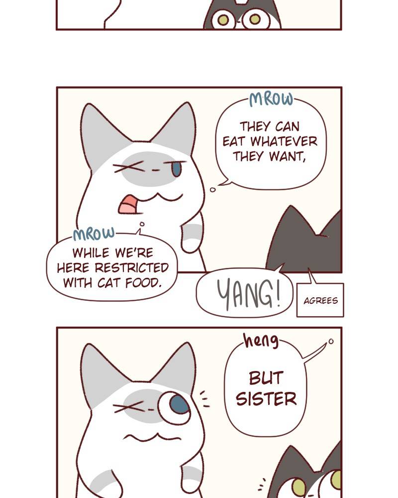 Saphie: The One-Eyed Cat - chapter 529 - #5