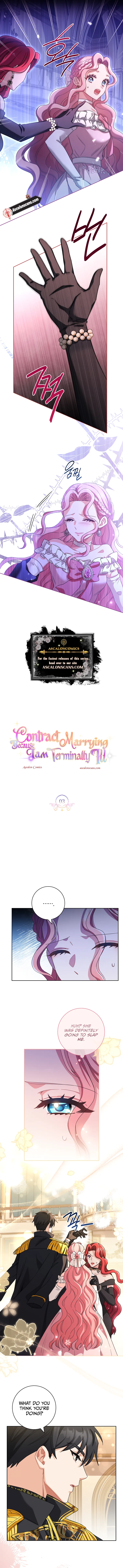 Contract Marrying Because I Am Terminally Ill - chapter 3 - #5