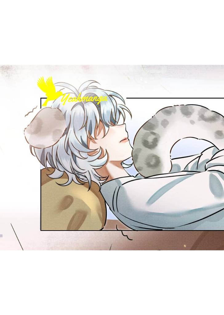 Snow Leopard Falls In Love With His Majesty - chapter 1 - #5