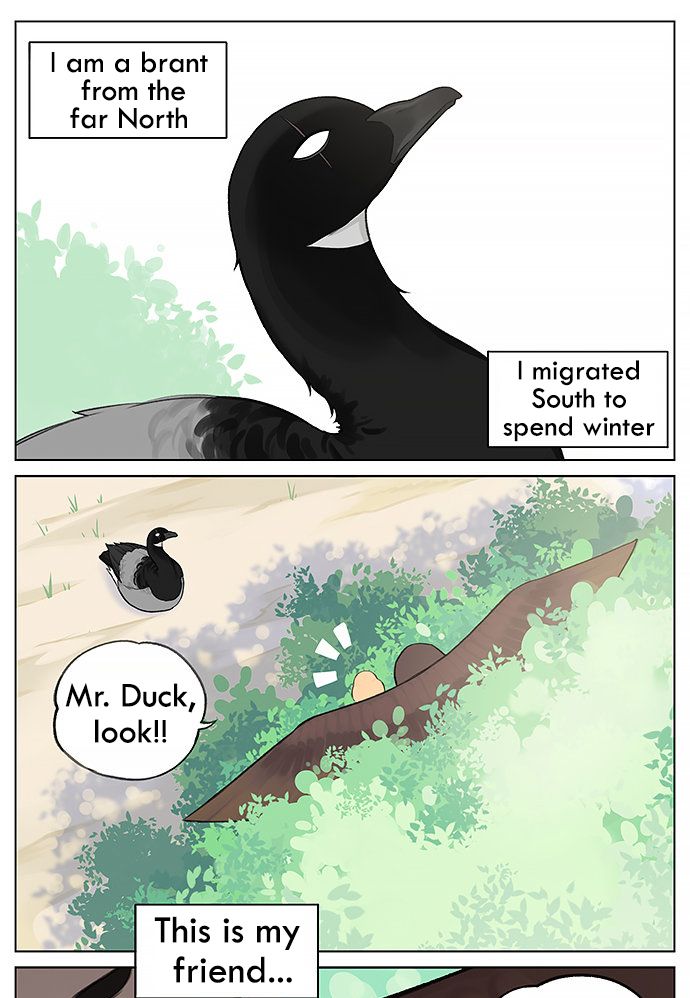 Southern Bird and Northern Bird - chapter 34 - #1