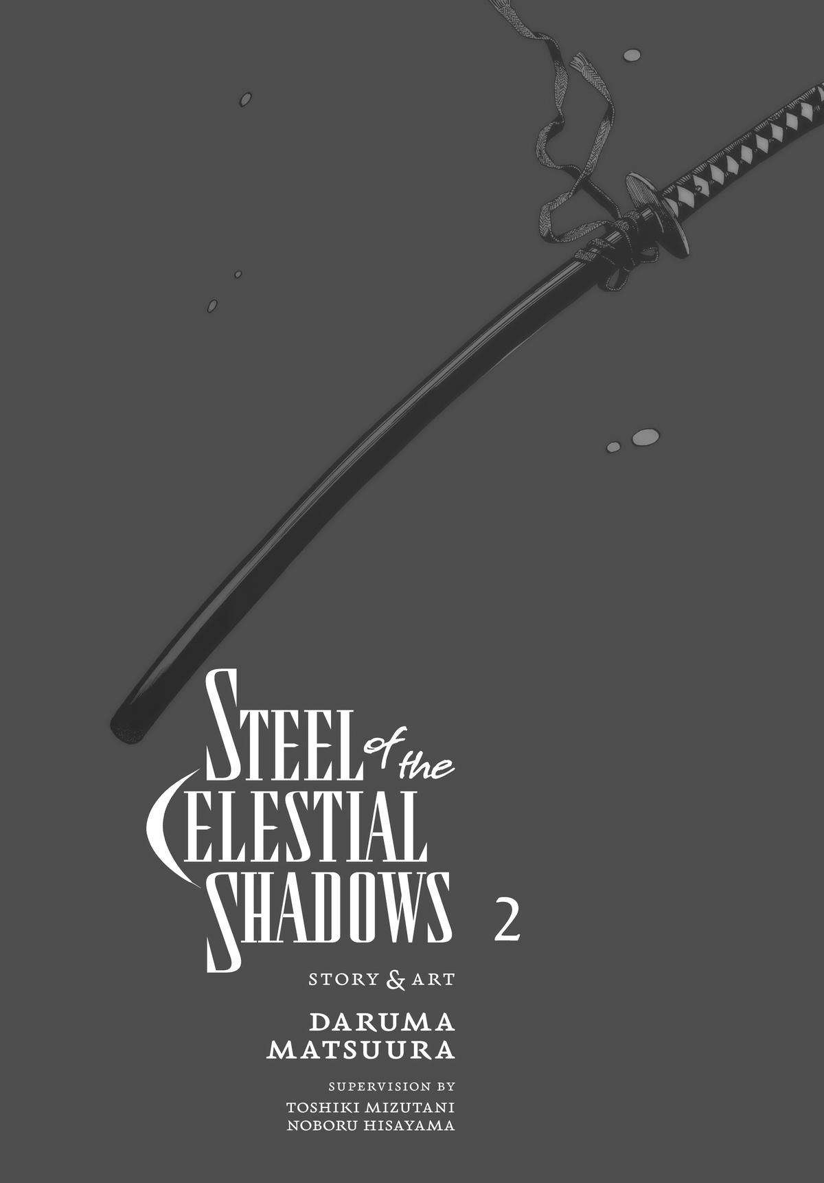Steel of the Celestial Shadows - chapter 9 - #2