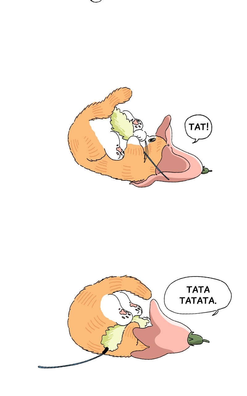 Tata The Cat - chapter 14 - #4