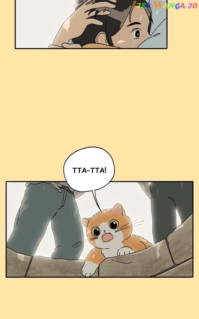 Tata The Cat - chapter 24 - #3