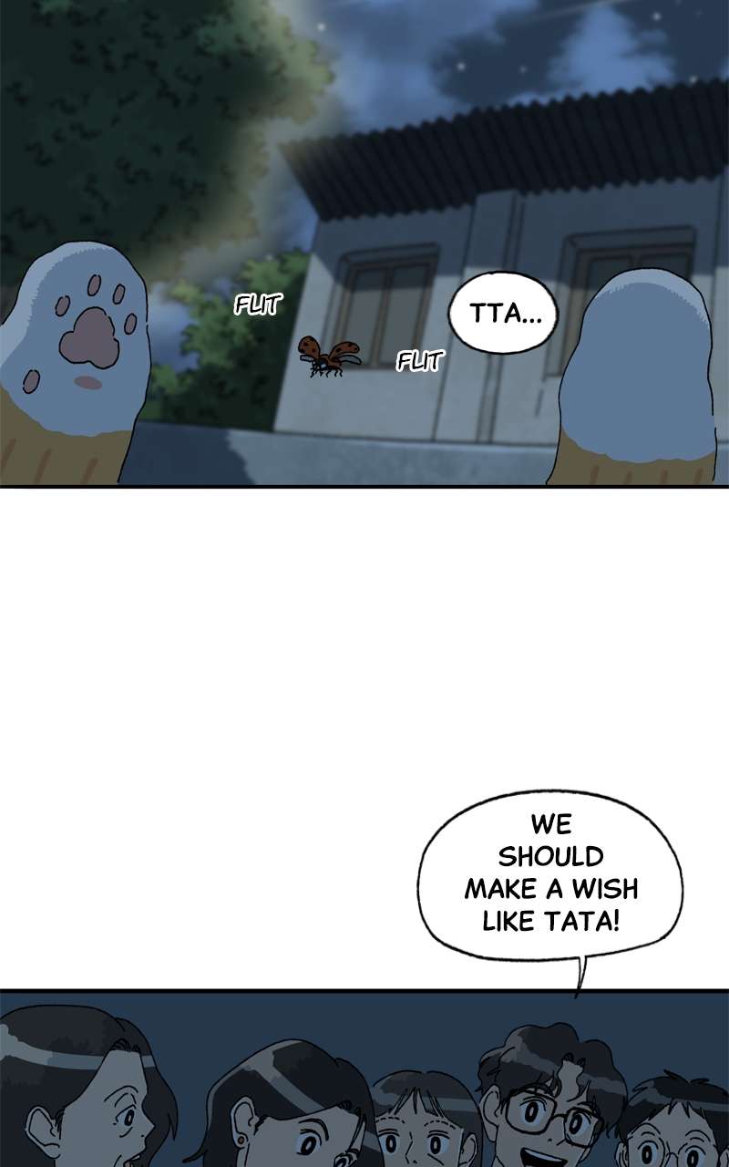 Tata The Cat - chapter 42 - #6