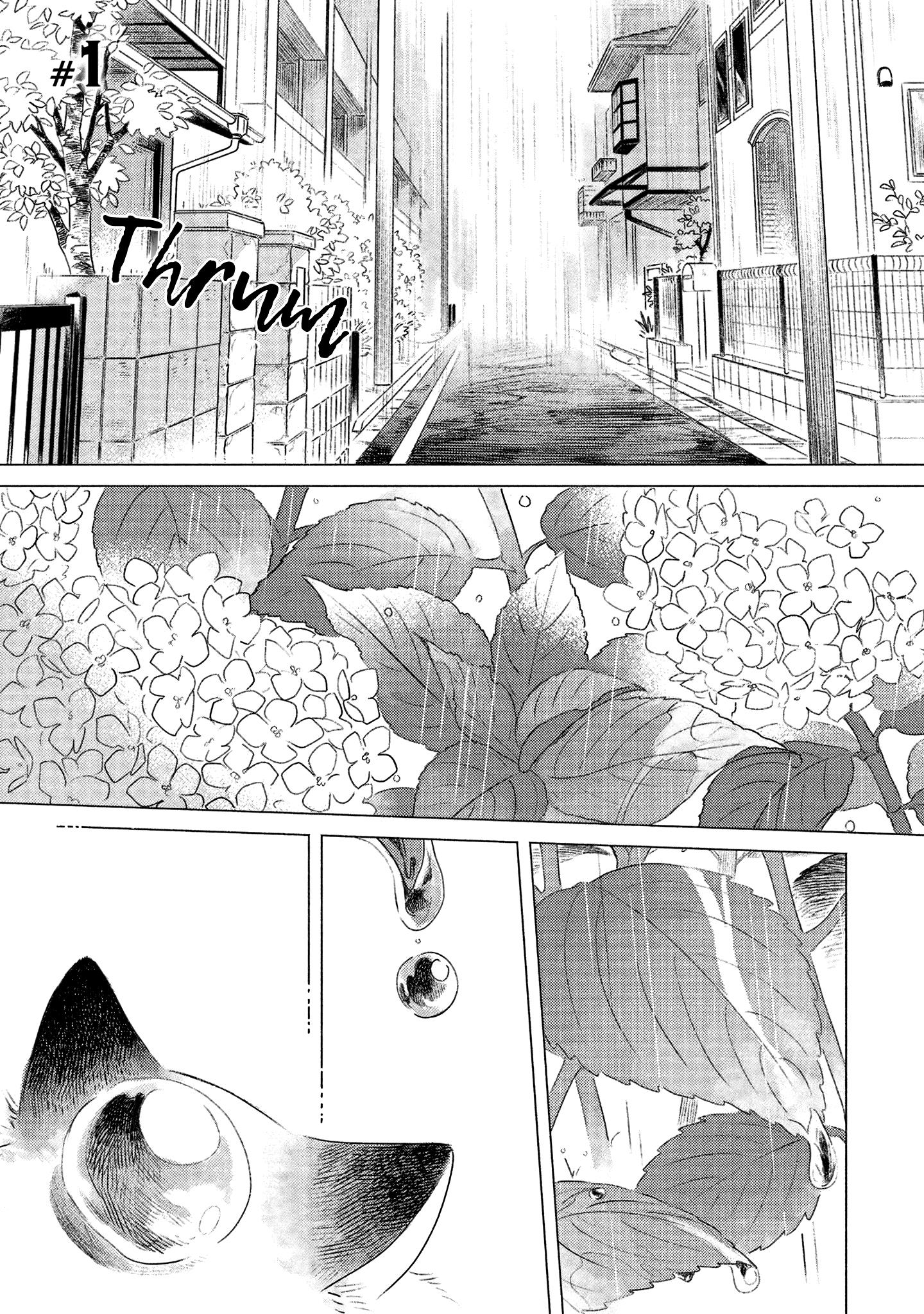 Tenohira Neko - chapter 1 - #4