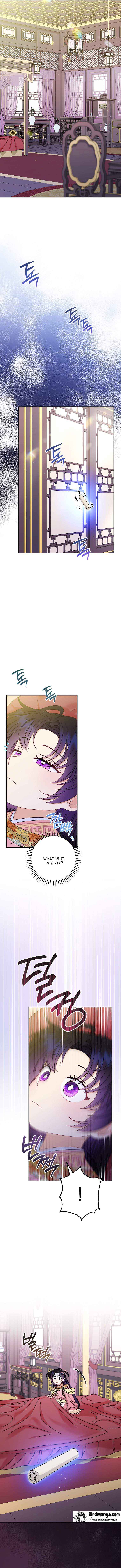The Baby Concubine Wants To Live Quietly - chapter 36 - #6