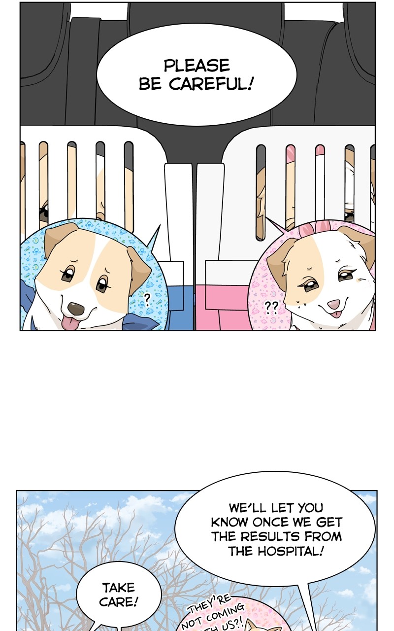 The Dog Diaries - chapter 144 - #3