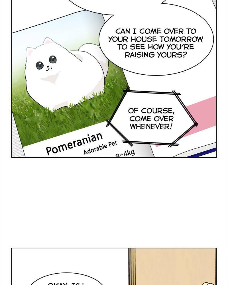 The Dog Diaries - chapter 41 - #5