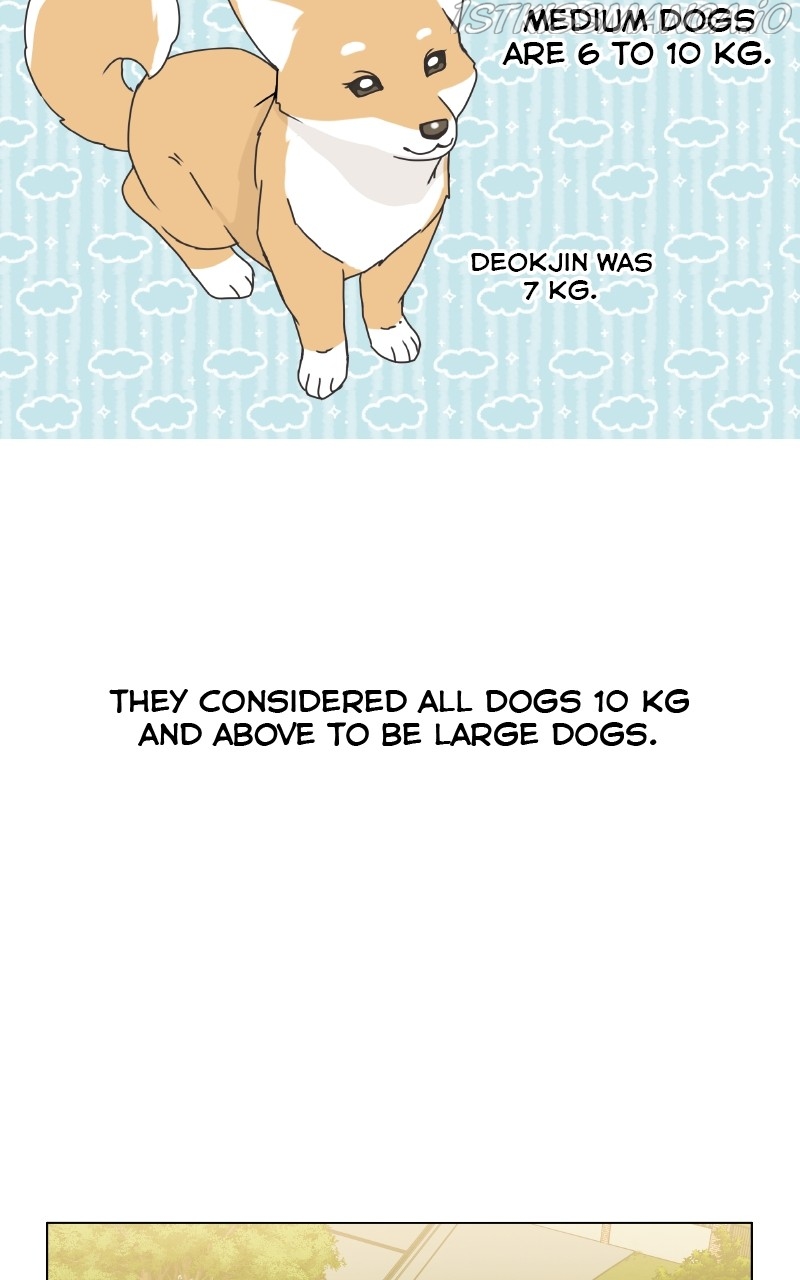 The Dog Diaries - chapter 77 - #2