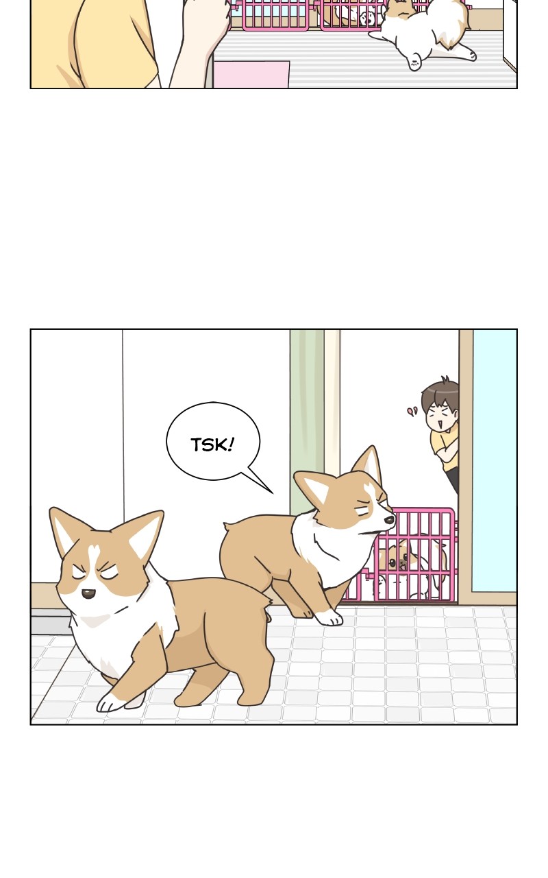 The Dog Diaries - chapter 88 - #3