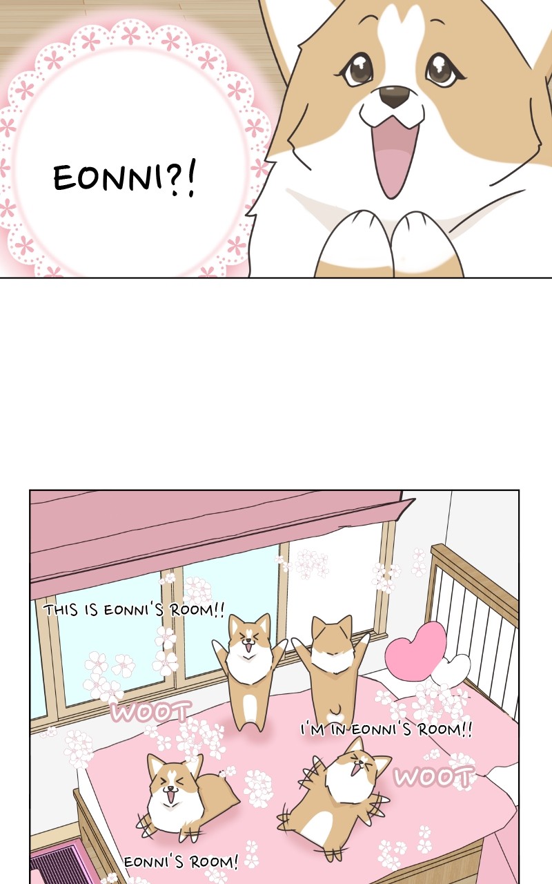 The Dog Diaries - chapter 89 - #5