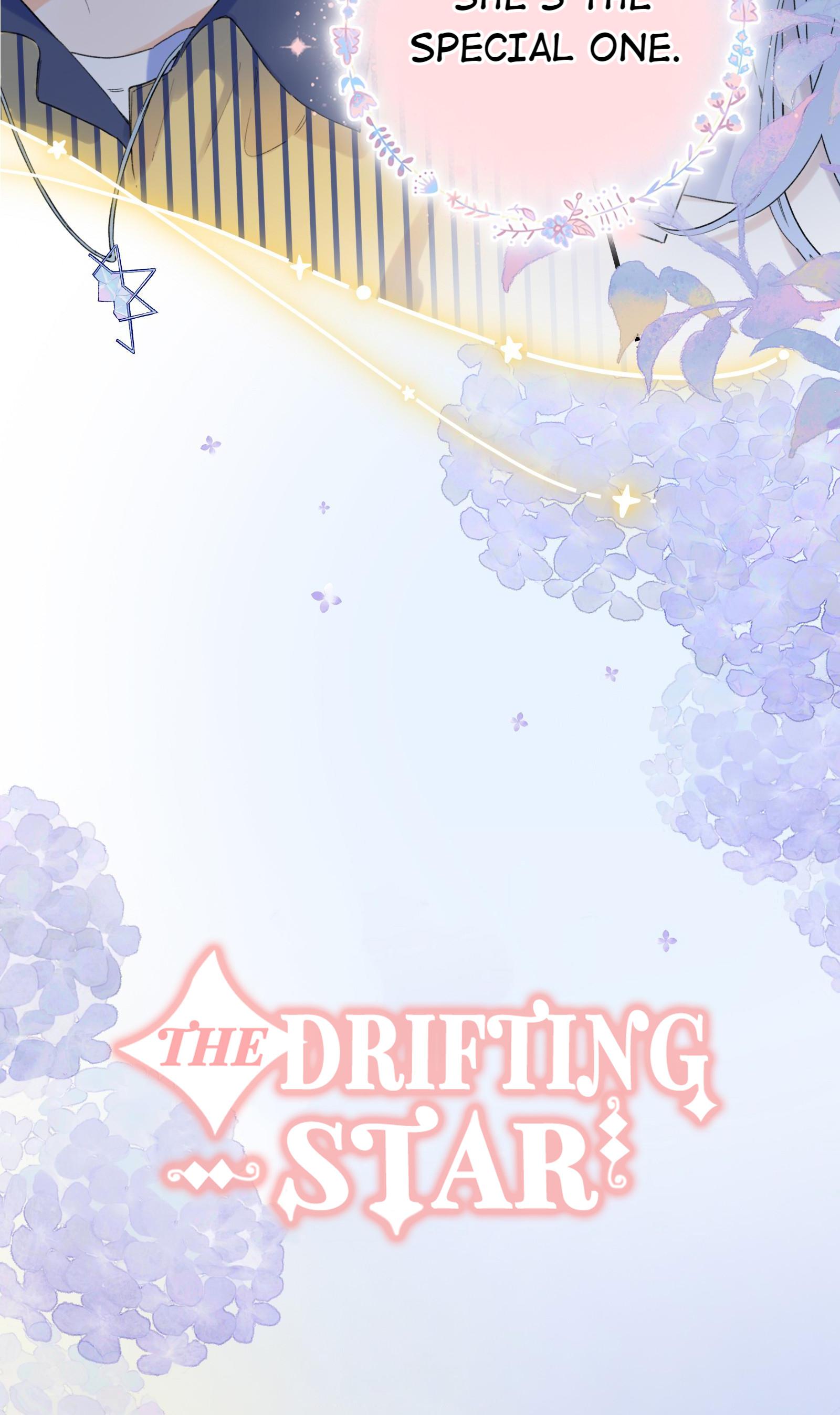 The Drifting Star - chapter 18 - #2