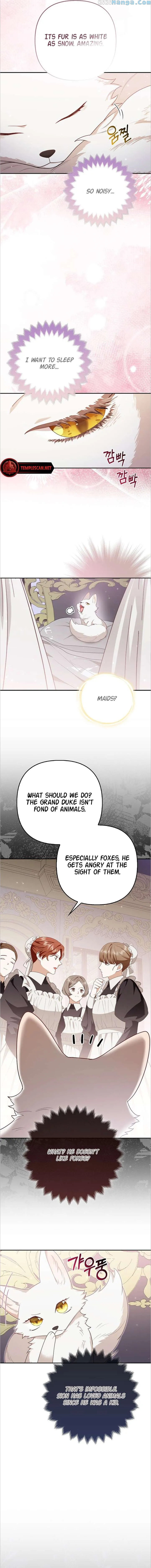 The Duke and The Fox Princess - chapter 4 - #3
