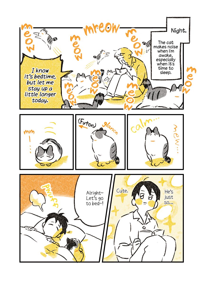 The Life of a Grandpa Cat - chapter 6 - #3