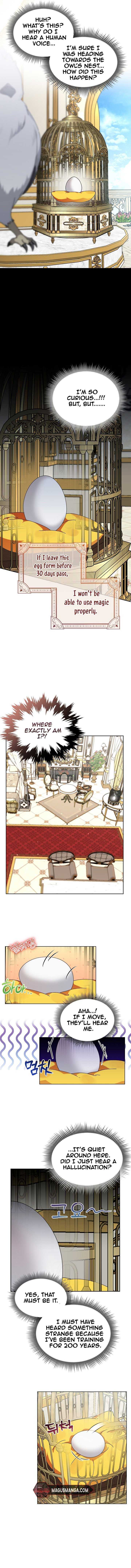 The New Empress - chapter 3 - #3