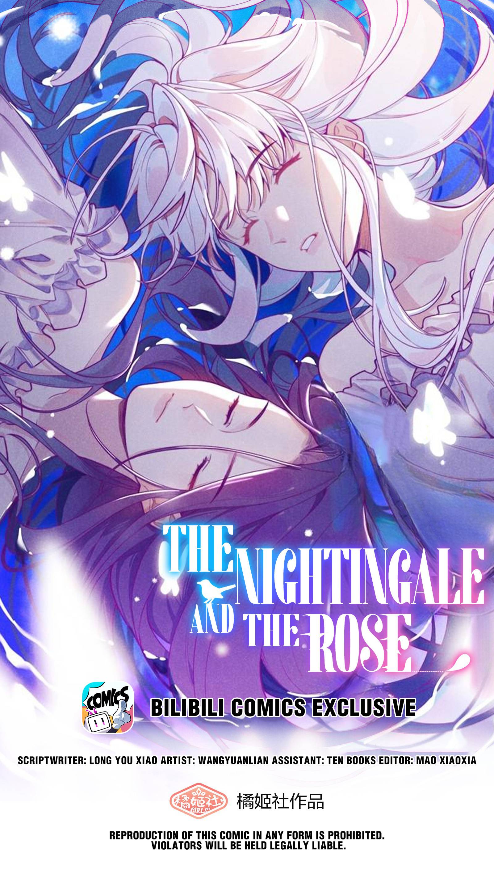 The Nightingale And The Rose - chapter 11 - #1
