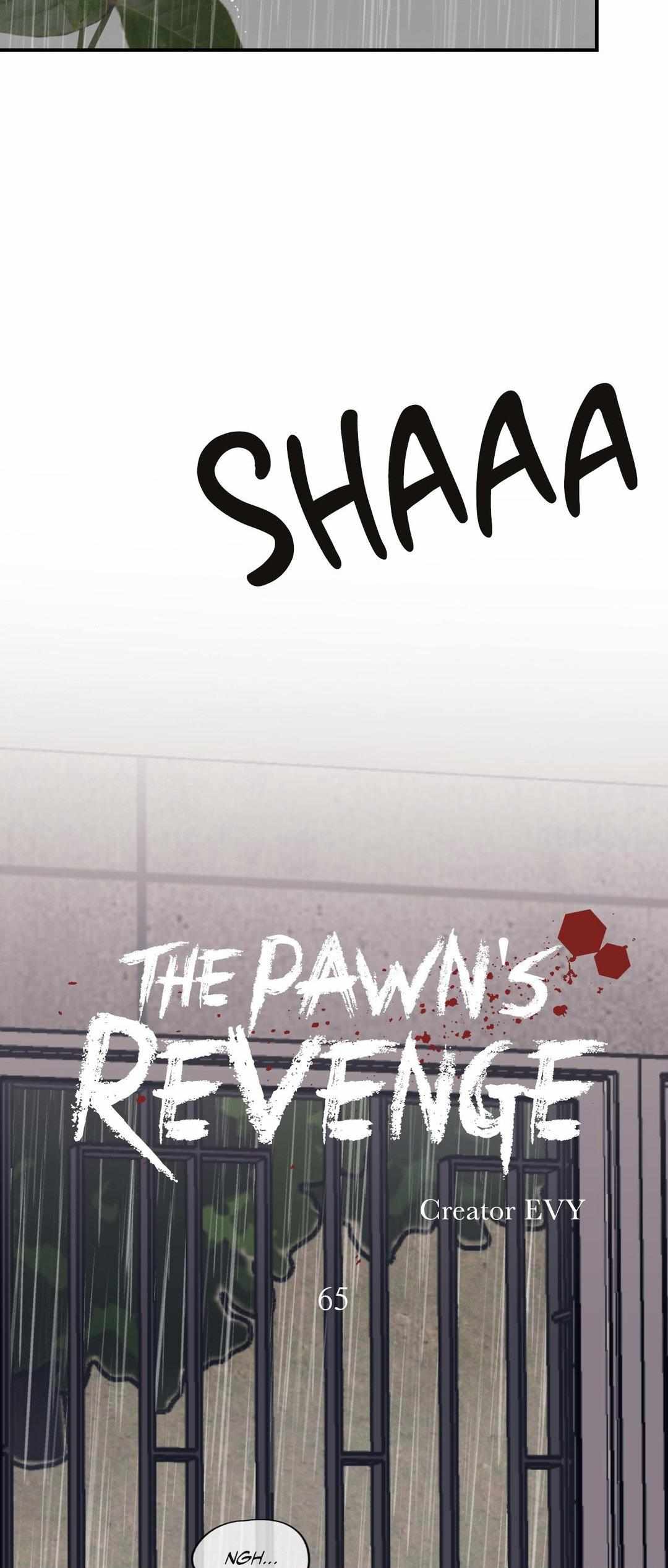The Pawn's Revenge - chapter 65 - #5
