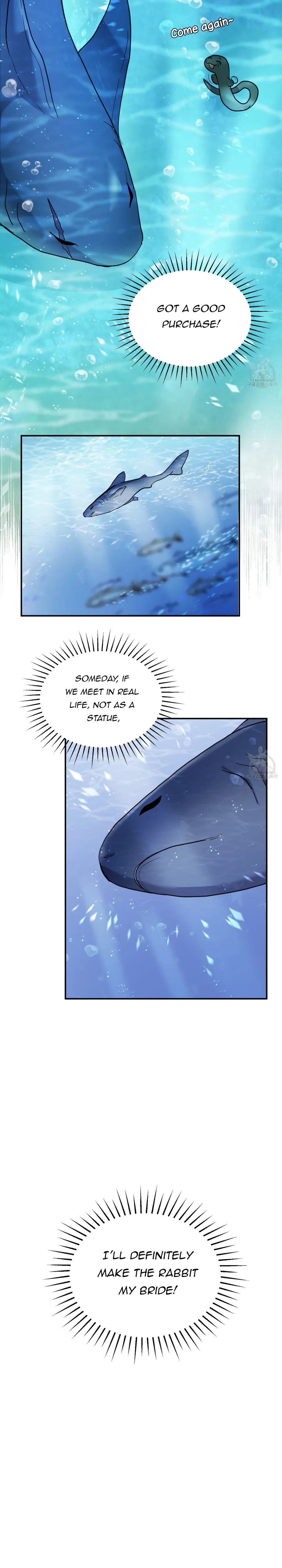 The Rabbit's Way In The Shark's Realm - chapter 1 - #4