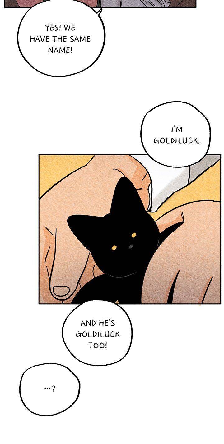 The Tale Of Goldiluck, The Black Kitten - chapter 35 - #6