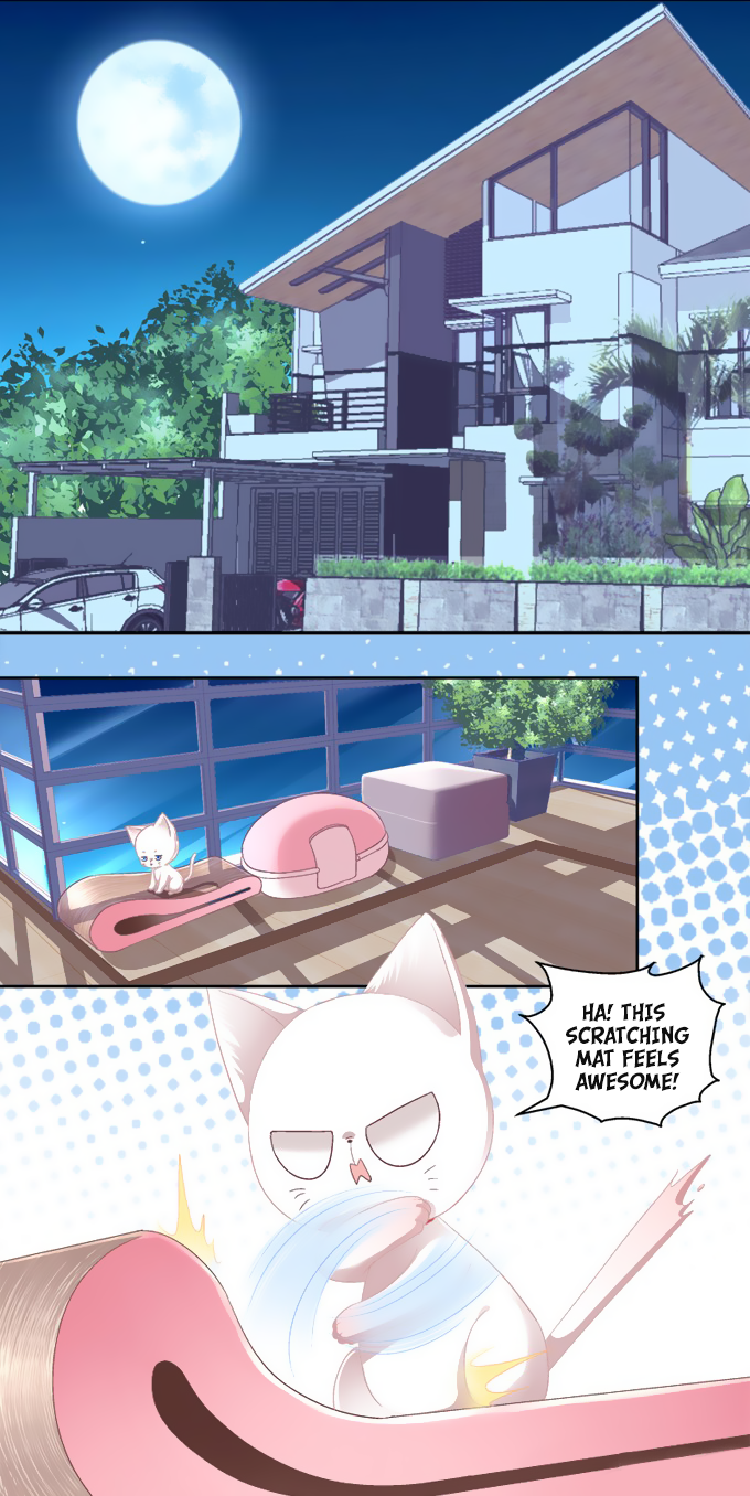The Temptation of a Cat Demon - chapter 2 - #5