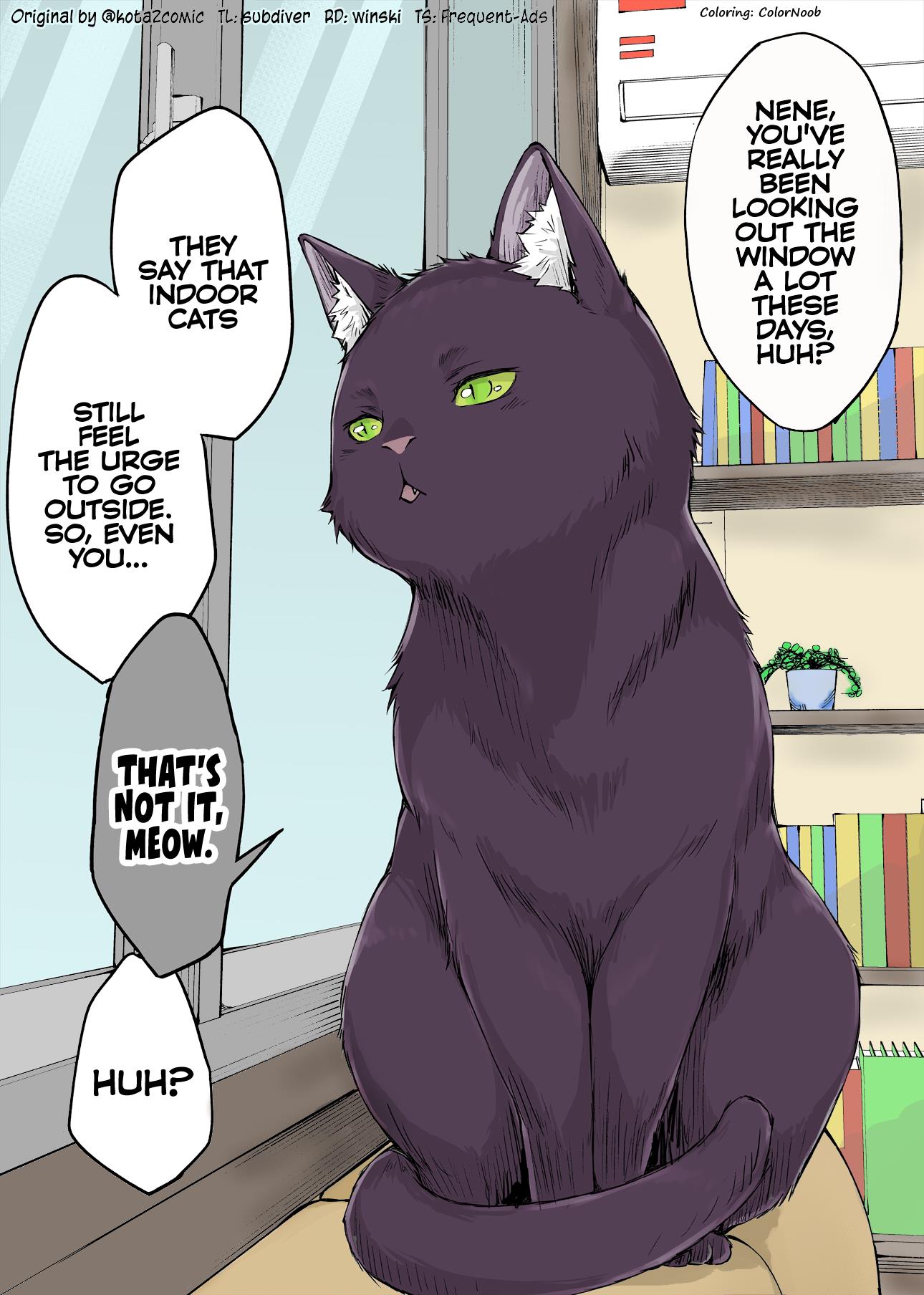 The Yandere Pet Cat Is Overly Domineering (Fan Colored) - chapter 11 - #1