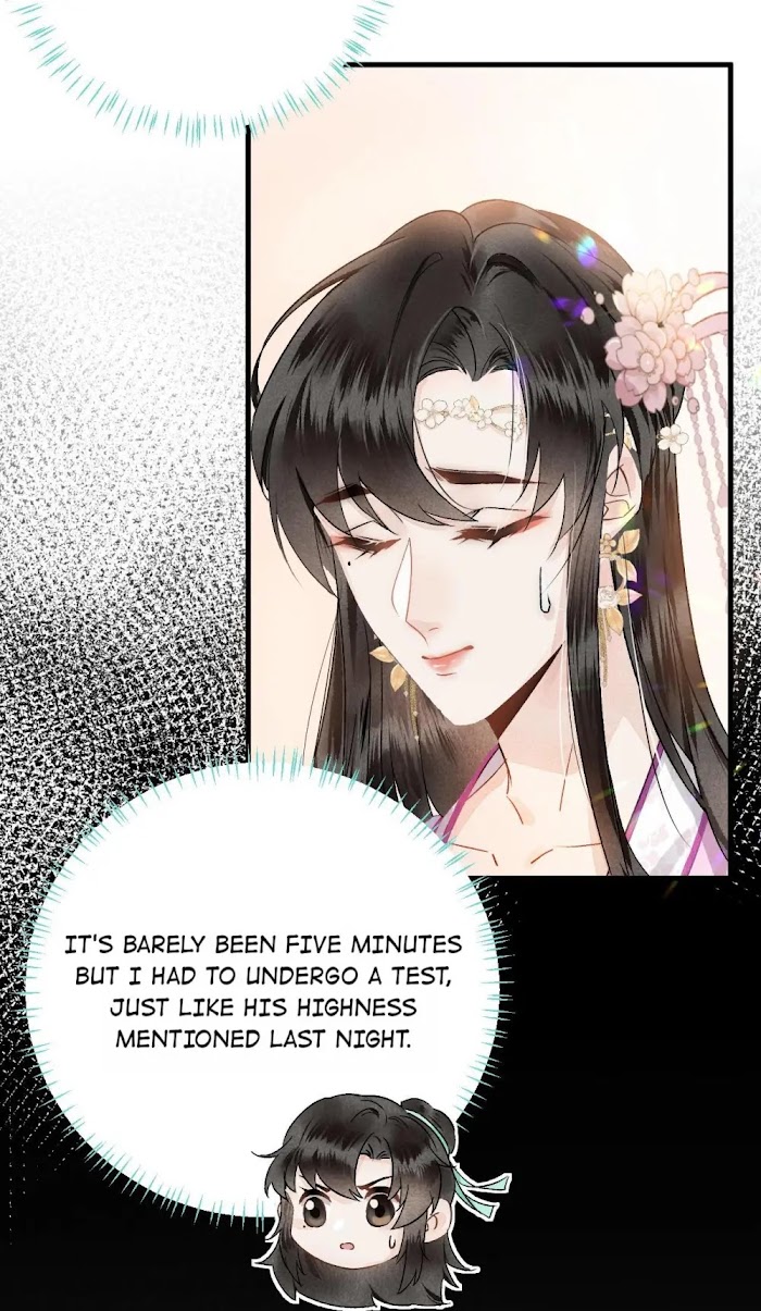 This Princess Consort Is a Man - chapter 2 - #5