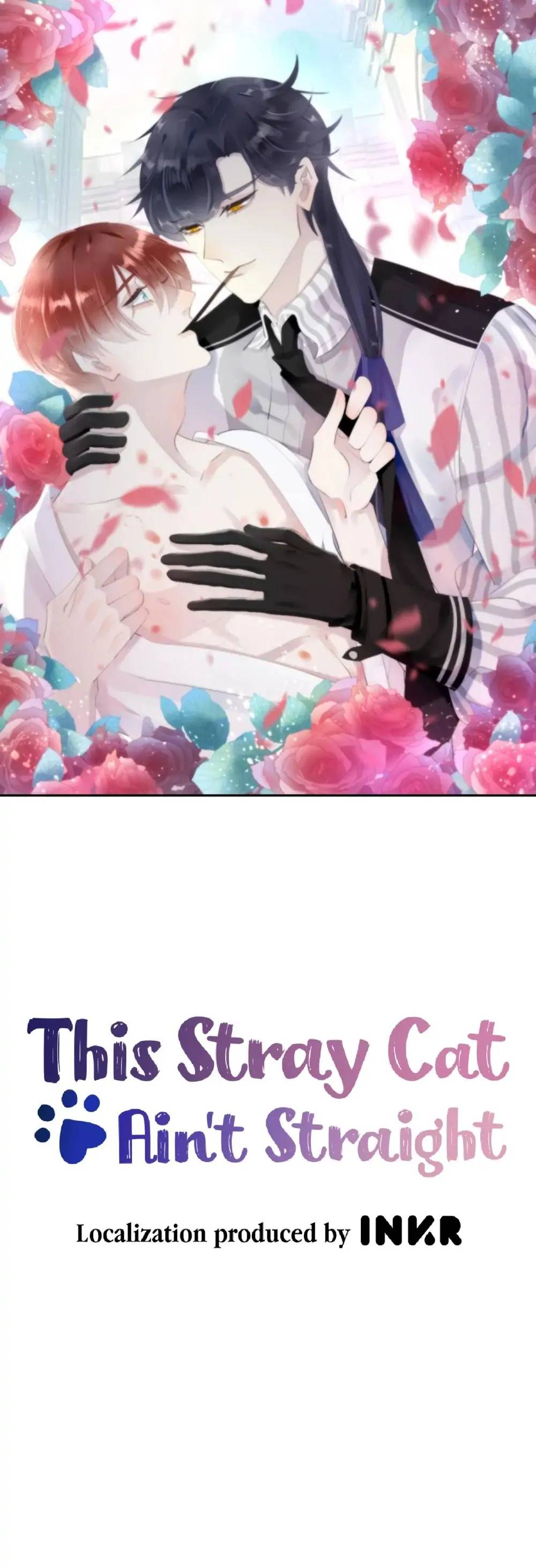 This Stray Cat Ain't Straight - chapter 10 - #1