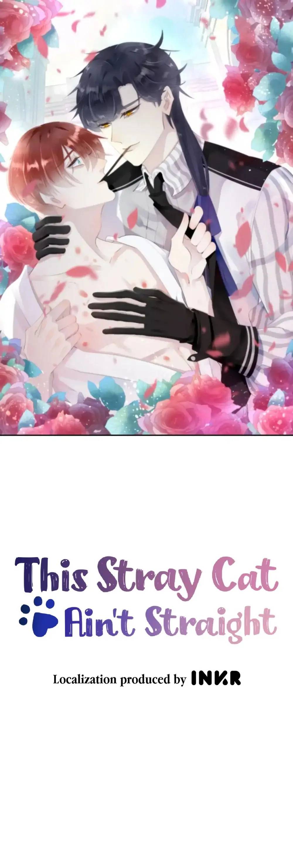 This Stray Cat Ain't Straight - chapter 11 - #1