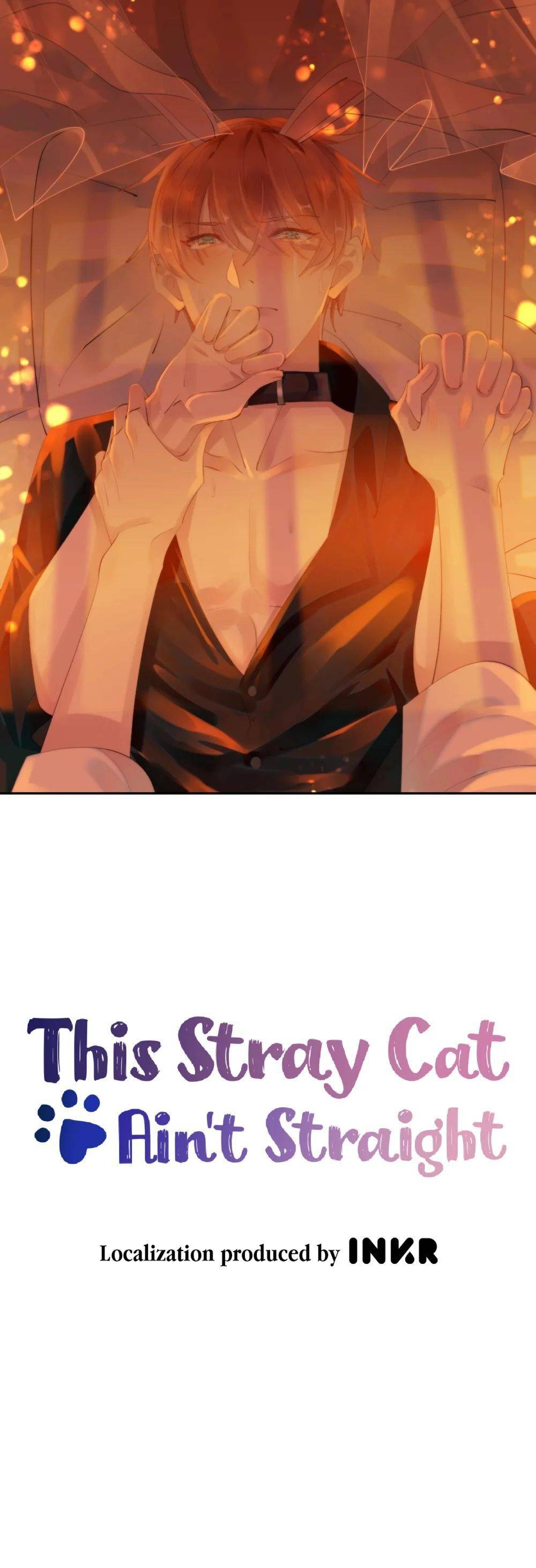 This Stray Cat Ain't Straight - chapter 5 - #1