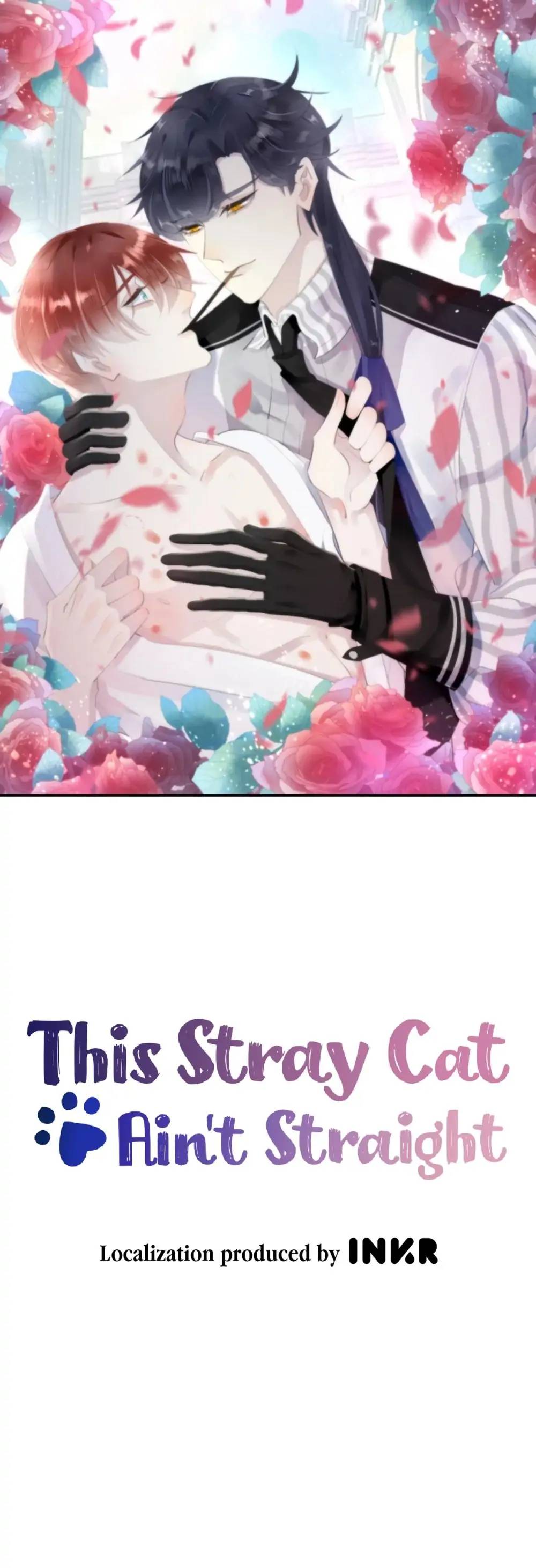 This Stray Cat Ain't Straight - chapter 9 - #1