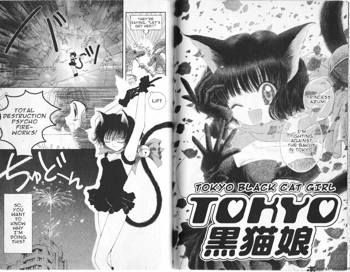 Tokyo Mew Mew - chapter 18 - #1