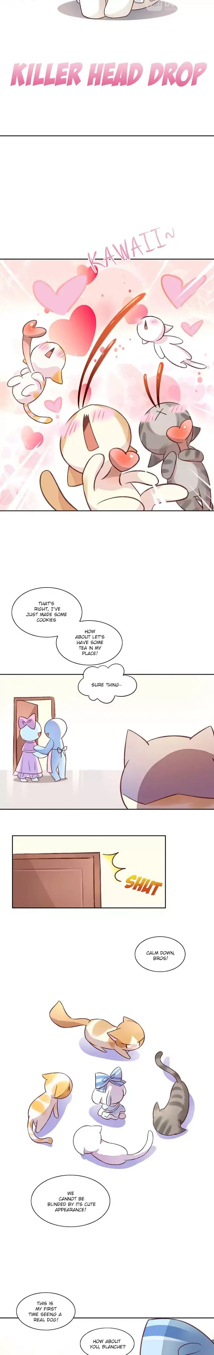Under The Paws of Cats - chapter 5 - #5