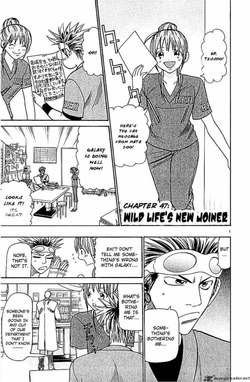 Wild Life - chapter 47 - #2