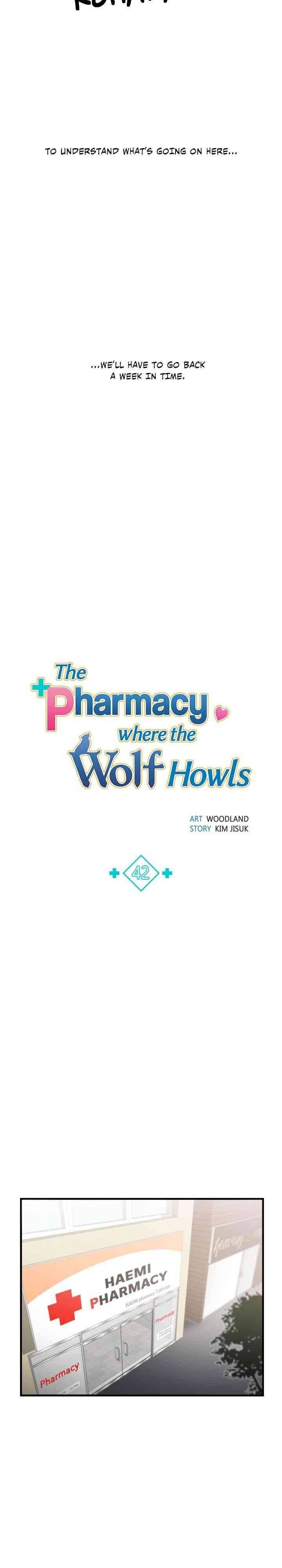 Wolf Crying Pharmacy - chapter 42 - #3