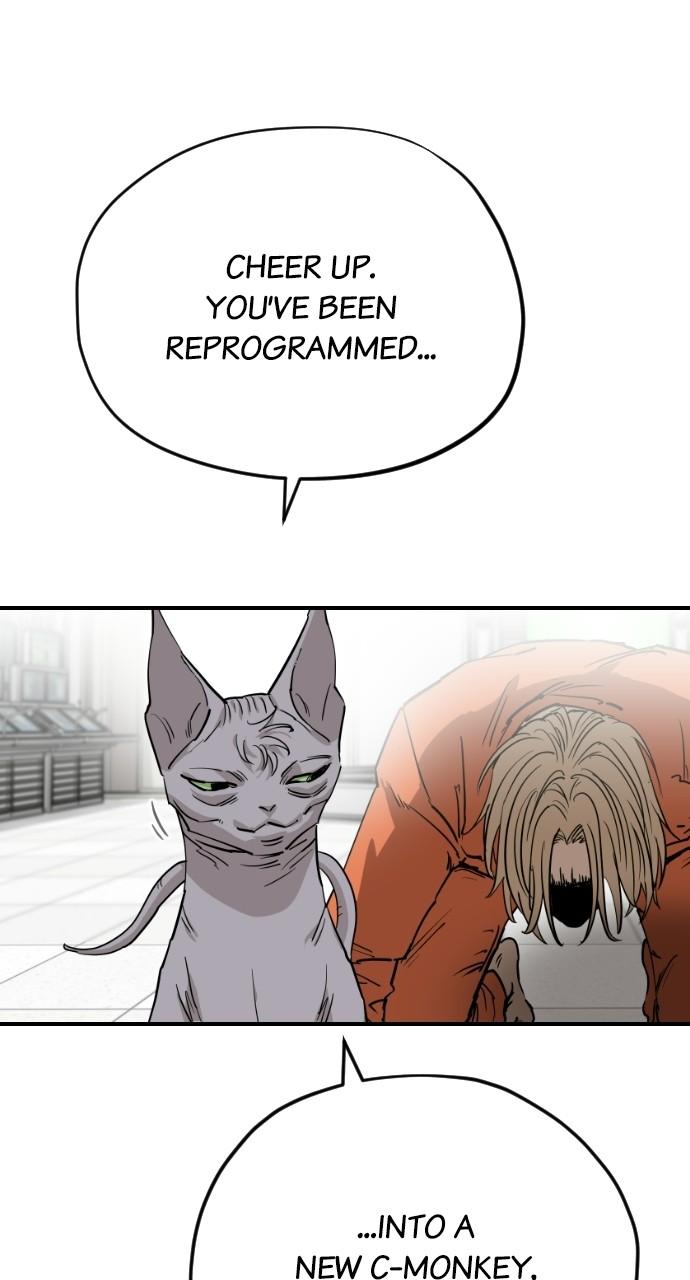 Meow Rangers - chapter 63 - #5